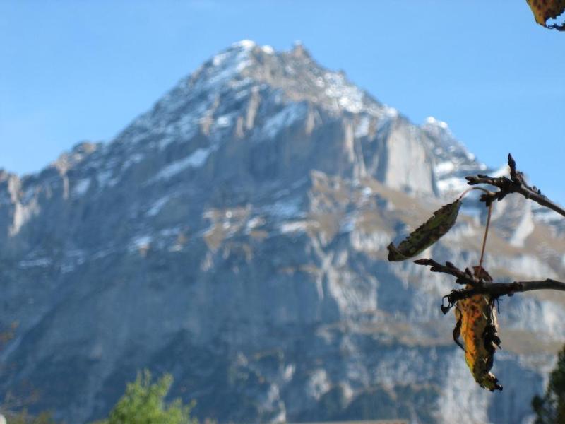 Hotel Gletschertal กรินเดลวัลด์ ภายนอก รูปภาพ